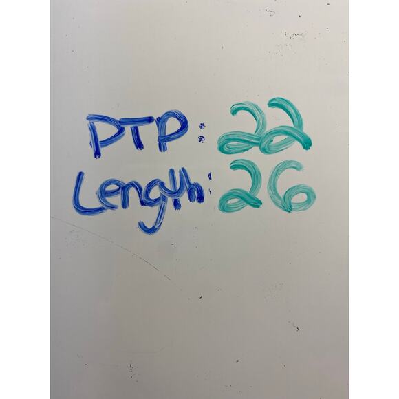 MUDPIE The Ashford Red Plaid Ruffle Tiered Vneck Top LARGE Puff Flounce Sleeve - Picture 8 of 8